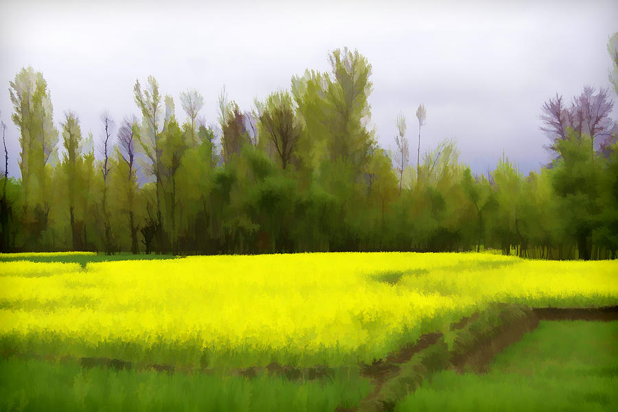 Flower Digital Art - Rich yellow mustard fields in Kashmir #1 by Ashish Agarwal