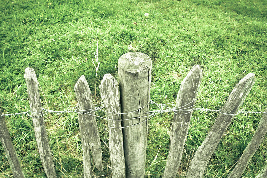 Border Photograph - Rickety fence #1 by Tom Gowanlock