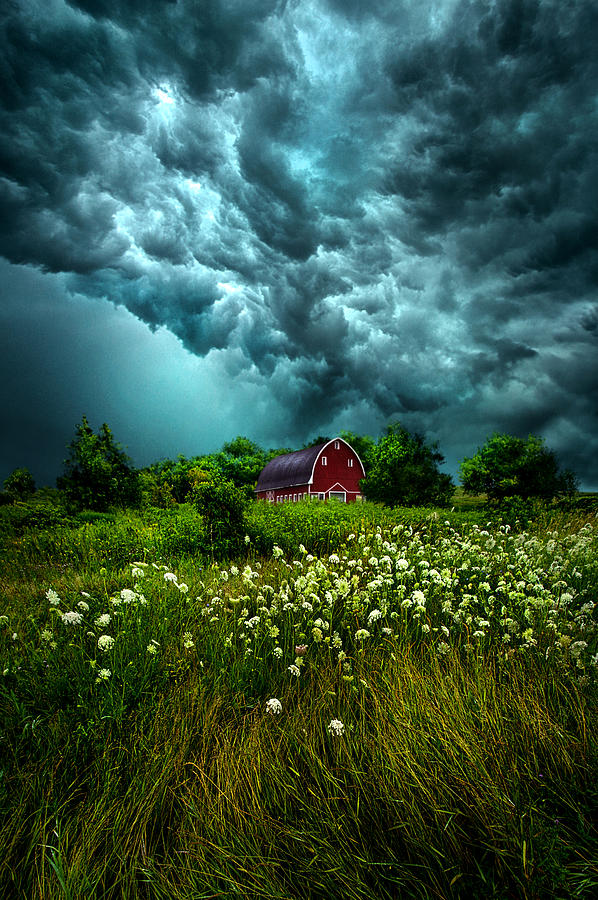 Riding The Storm Out #1 Photograph by Phil Koch