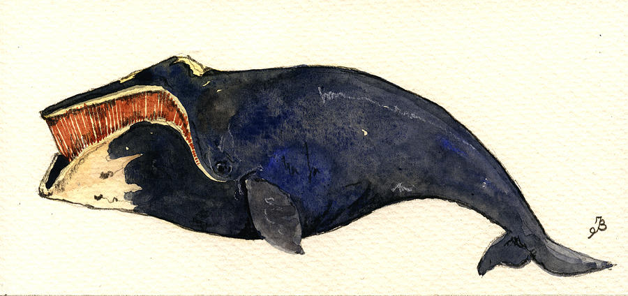 Mammal Painting - Right whale #1 by Juan  Bosco