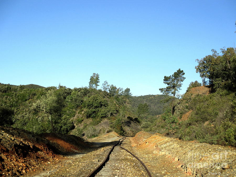 Rio Tinto Abandoned Railway #3 Photograph by Chani Demuijlder