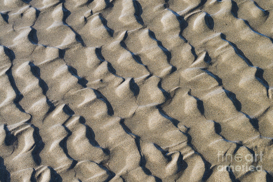 Ripple Pattern On Mudflat At Low Tide #1 Photograph by John Shaw