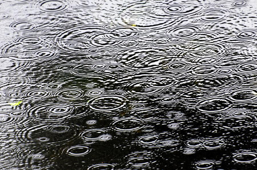 Ripples On A Pond #1 Photograph by Dr. John Brackenbury/science Photo Library