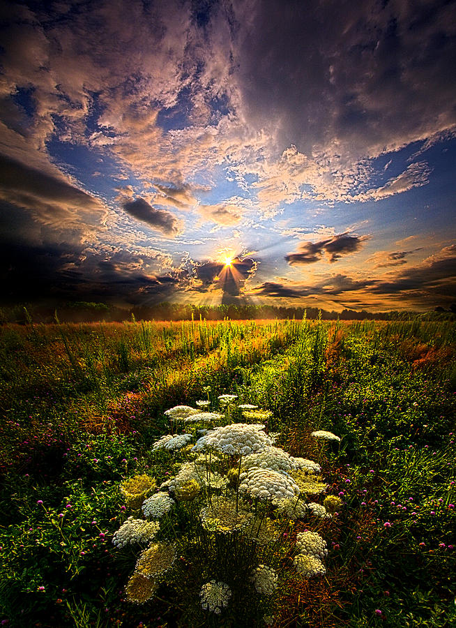 Rise and Shine #1 Photograph by Phil Koch