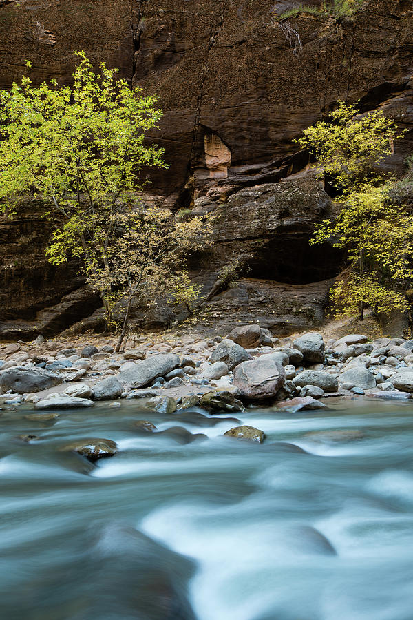 Zion National Park Photograph - River Flowing Through Rocks, Zion #1 by Panoramic Images