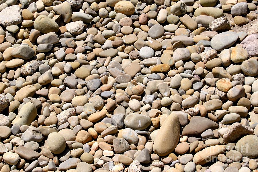 River Rocks Pebbles #1 Photograph by Henrik Lehnerer