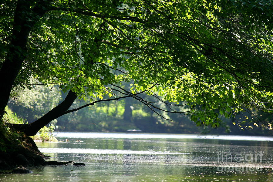 River Shade Photograph by Neal Eslinger
