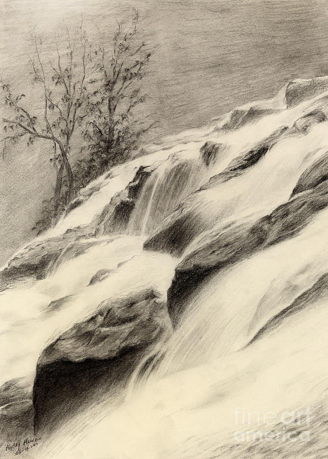 Nature Drawing - River Stream #1 by Hailey E Herrera