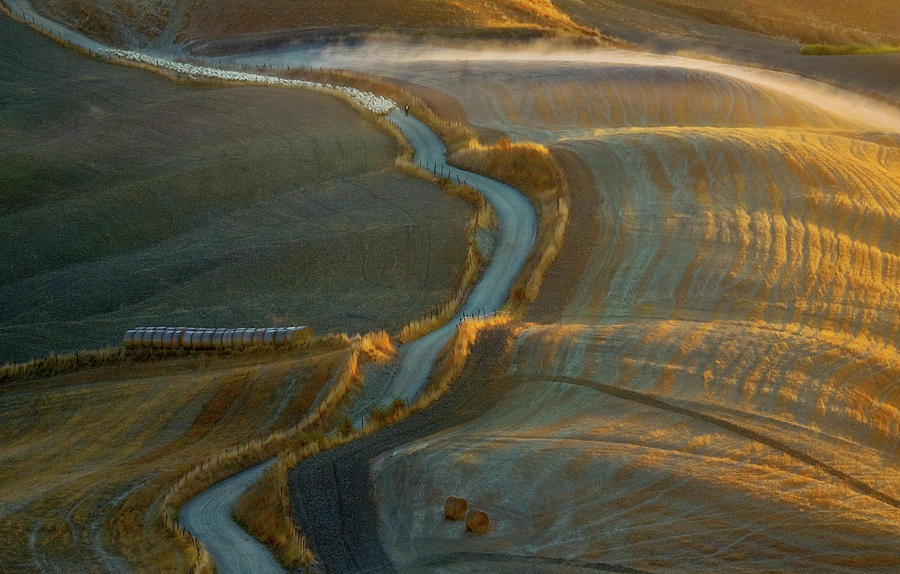 Landscape Photograph - Road... #1 by Krzysztof Browko