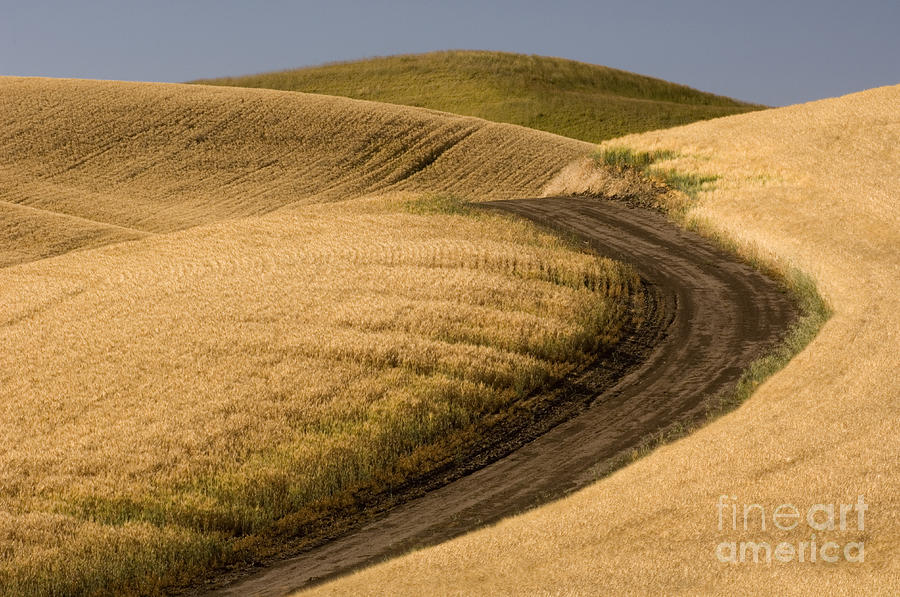 Road Through Wheat Field #1 Photograph by John Shaw