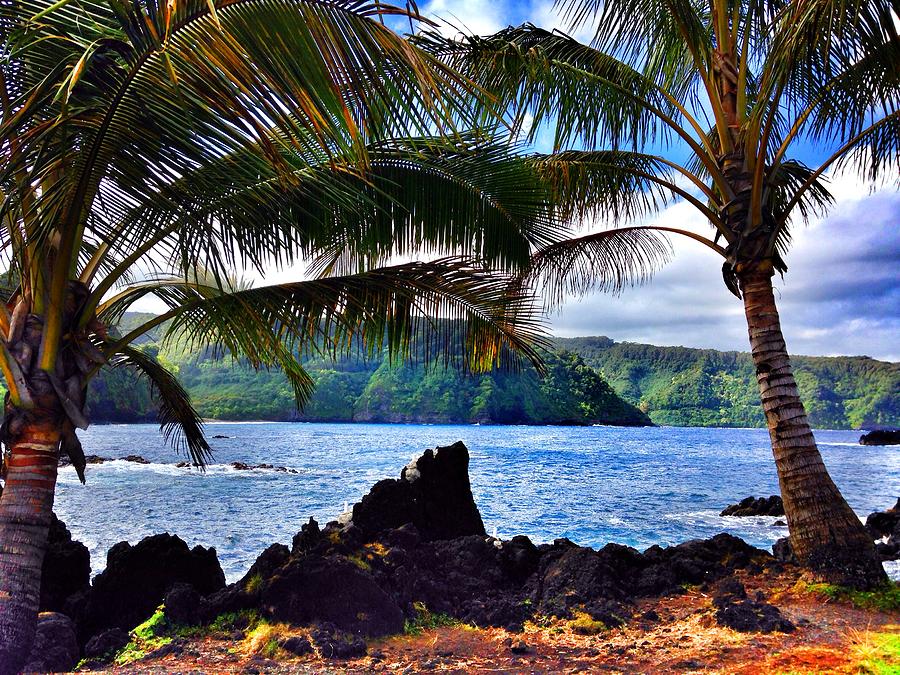 Hawaii Photograph - Road to Hana #2 by Jeff Klingler