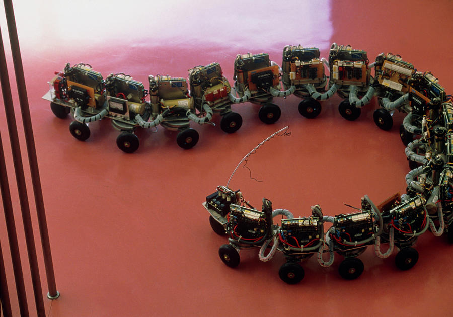 Robot Snake #1 Photograph by Peter Menzel/science Photo Library