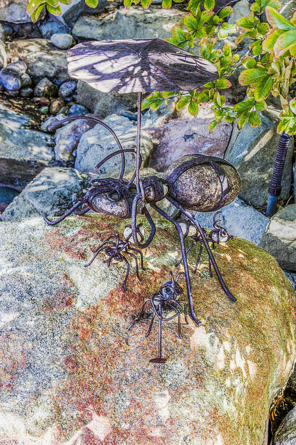 Rock Ants #2 Digital Art by Photographic Art by Russel Ray Photos