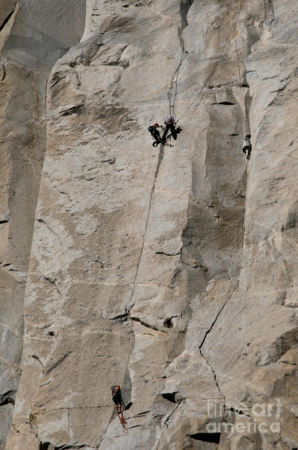 Yosemite National Park Photograph - Rock Climber On El Capitan #1 by Mark Newman