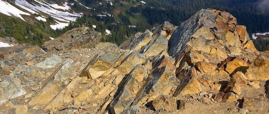 Landscape Photograph - Rock Formation Mount Rainier National Park #1 by Bob Noble