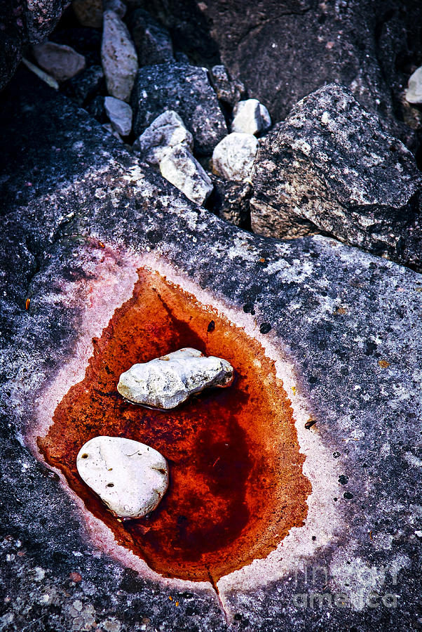 Rocks at Georgian Bay 3 Photograph by Elena Elisseeva