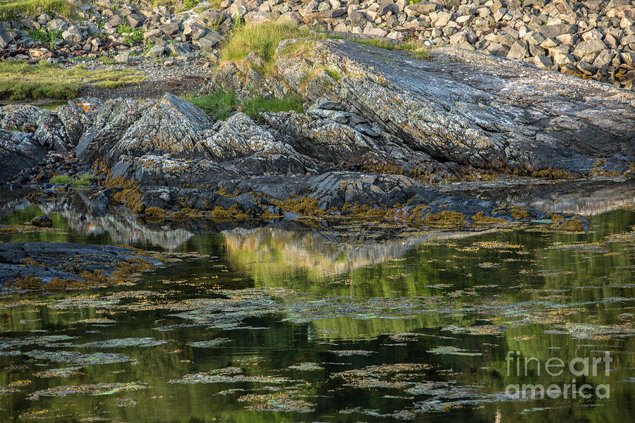 Rocks at Scotland Loch #1 Photograph by Iris Richardson