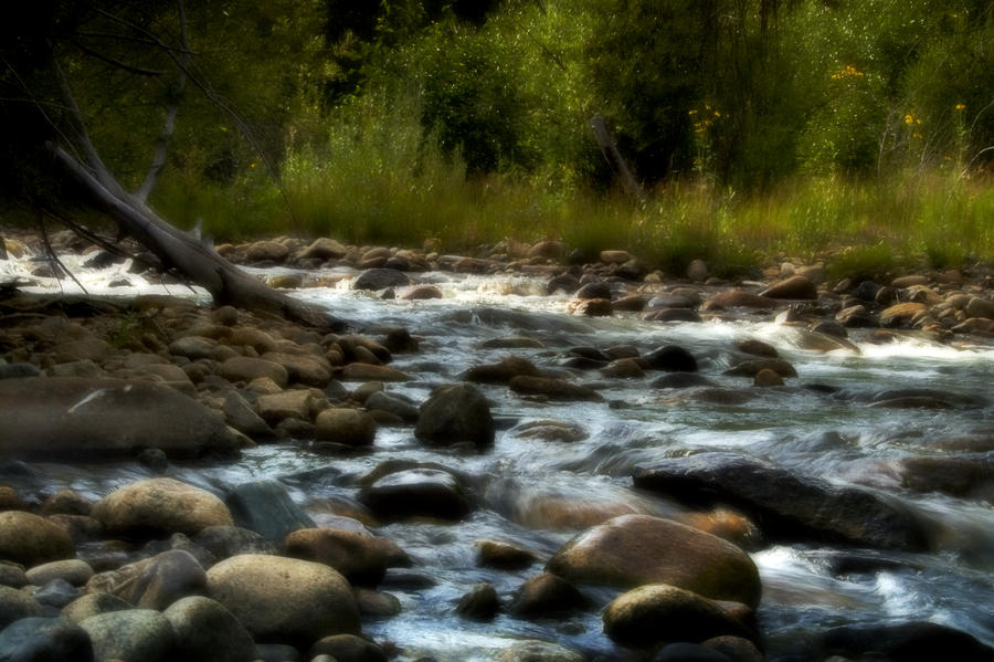 Rocky Mountain Stream #1 Photograph by Ellen Heaverlo