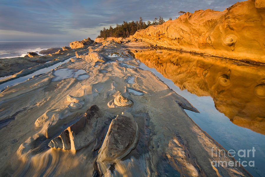 Rocky Shore #1 Photograph by Sean Bagshaw