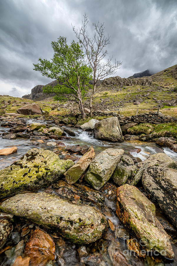 Mountain Photograph - Rocky Stream #3 by Adrian Evans