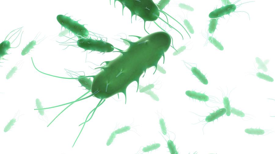 Rod-shaped Bacteria #1 Photograph by Andrzej Wojcicki/science Photo Library