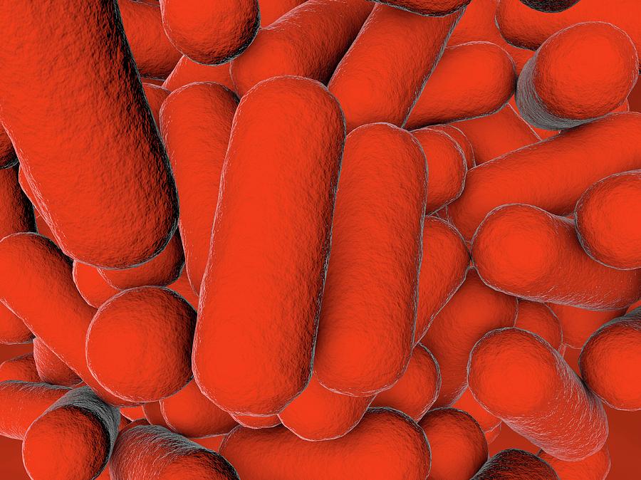 Rod-shaped Bacteria #1 Photograph by Kateryna Kon