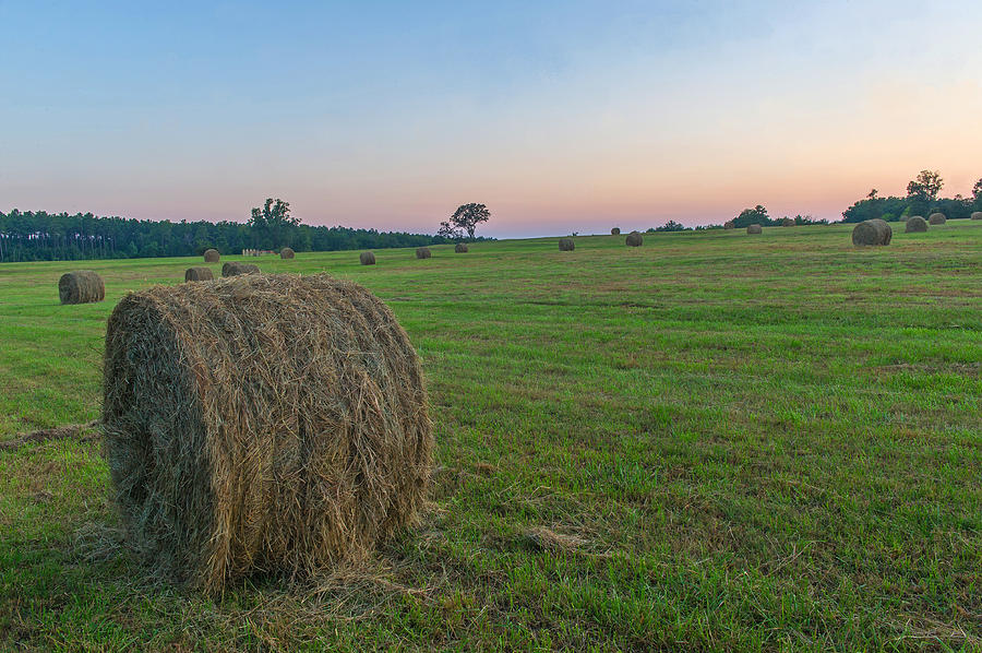 Rolled Hay at Sunset   Waterloo SC #1 Photograph by Willie Harper