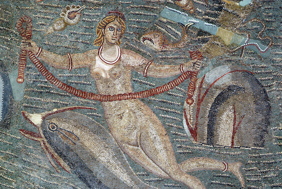 Roman Mosaic In The Bardo Museum #1 Photograph by Marco Ansaloni / Science Photo Library