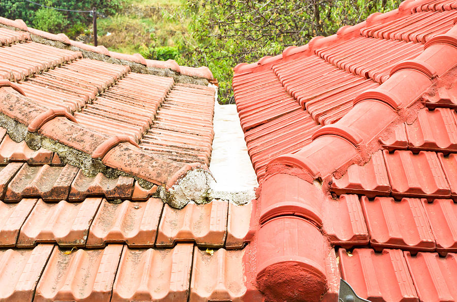 Architecture Photograph - Roof tiles #1 by Tom Gowanlock
