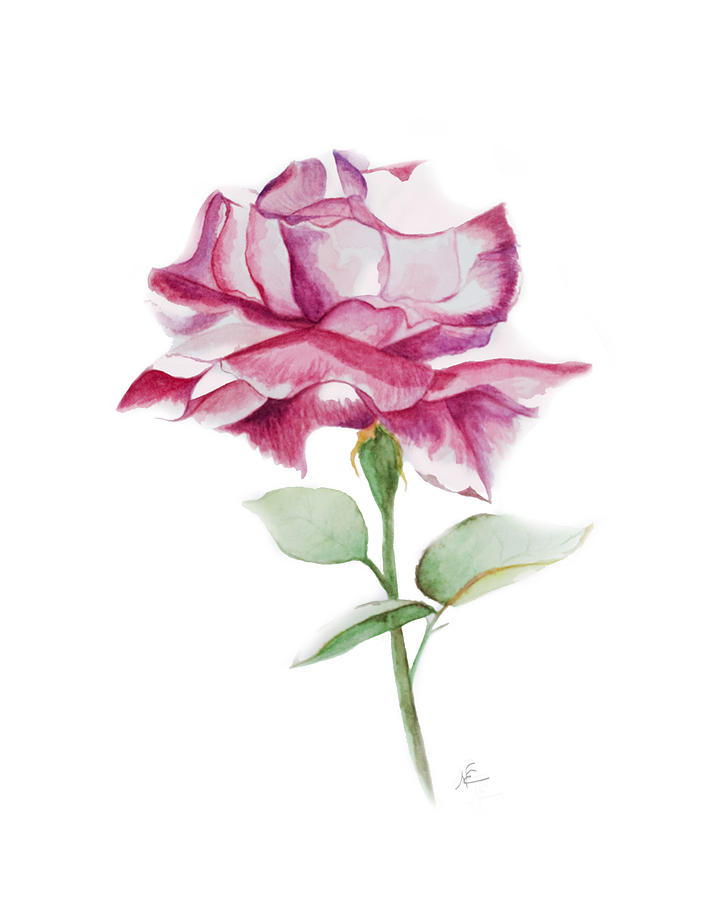 Rose 2 #1 Painting by Nancy Edwards