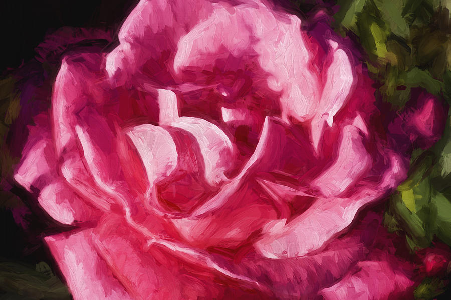 Rose Abstract Painted #1 Photograph by Rich Franco