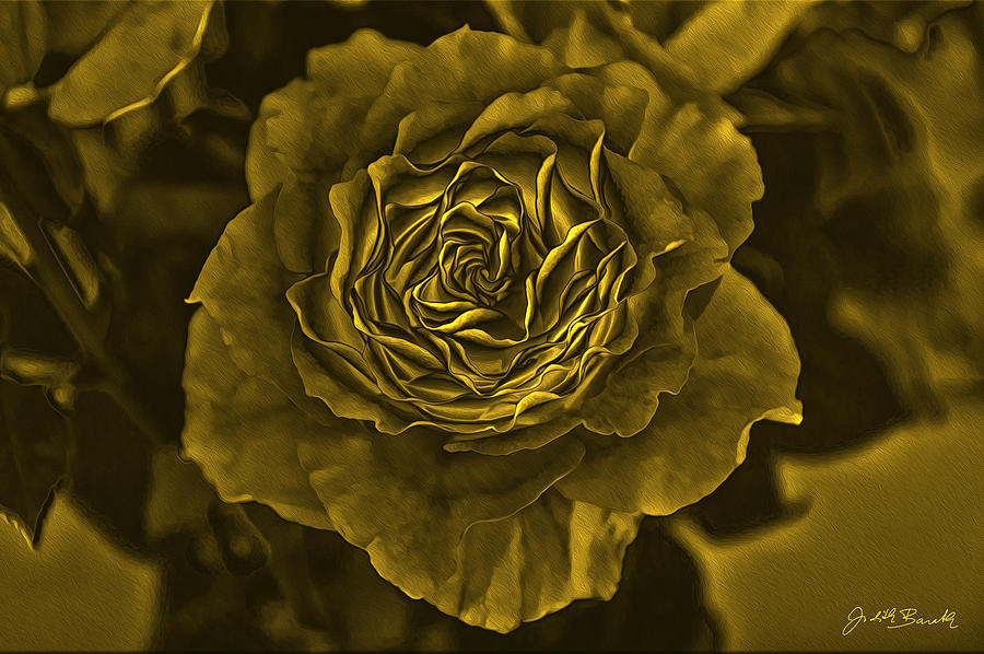 Rose in Gold Digital Art by Judith Barath