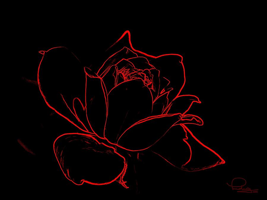 Rose Digital Art by Ludwig Keck