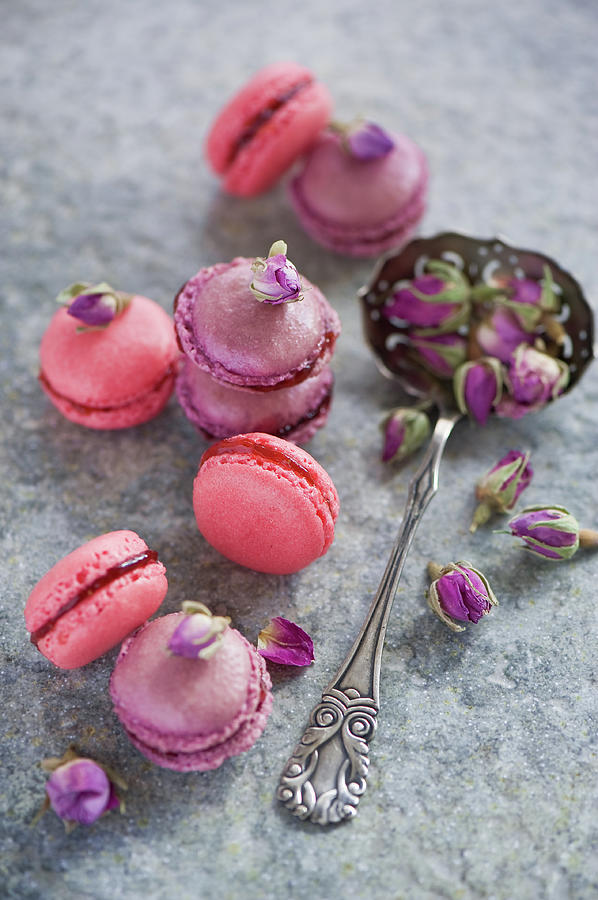 Rose Macarons #1 Photograph by Verdina Anna