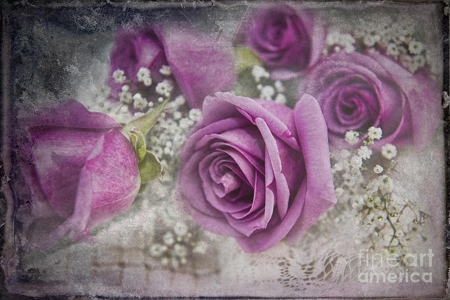Rose Photograph - Roses #1 by David Arment
