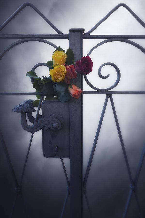 Flower Photograph - Roses #1 by Joana Kruse