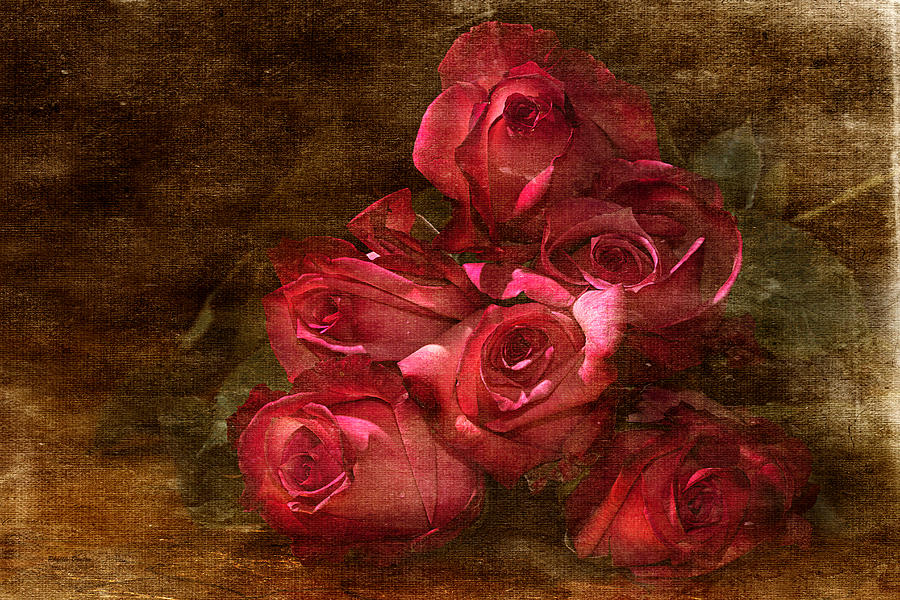 Roses #1 Photograph by Phyllis Denton