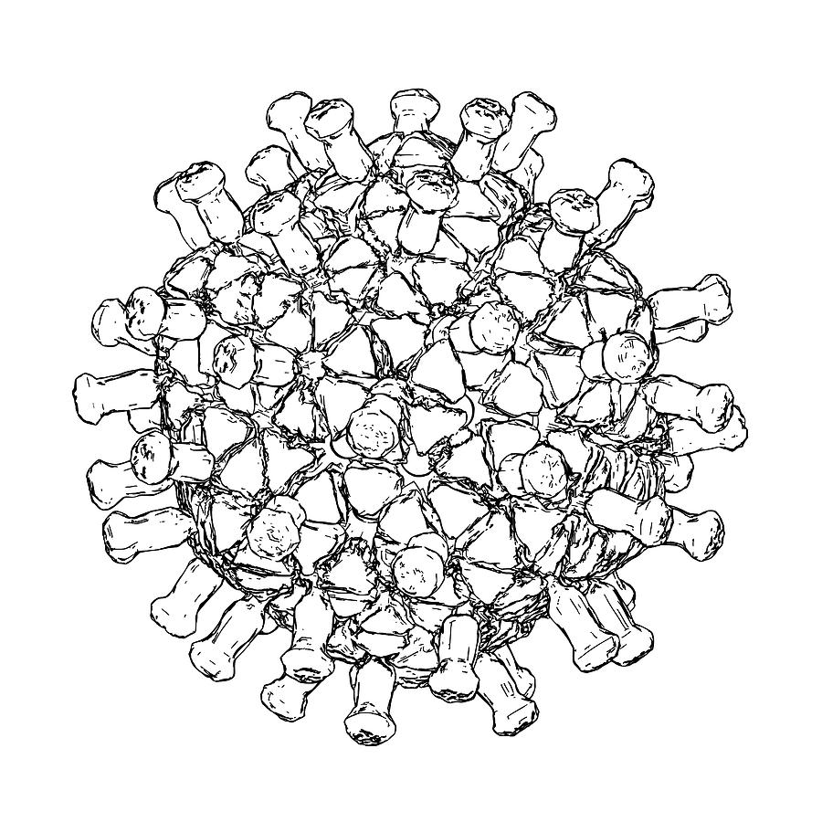 Rotavirus Photograph - Rotavirus Particle #1 by Russell Kightley