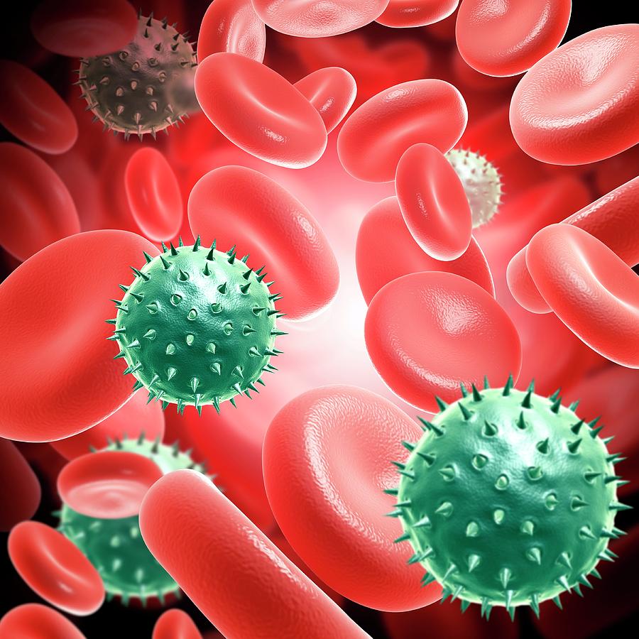 Rotaviruses In The Bloodstream Photograph by Pixologicstudio/science ...