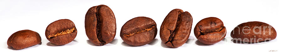 Coffee Photograph - Row of coffee beans #1 by Iris Richardson