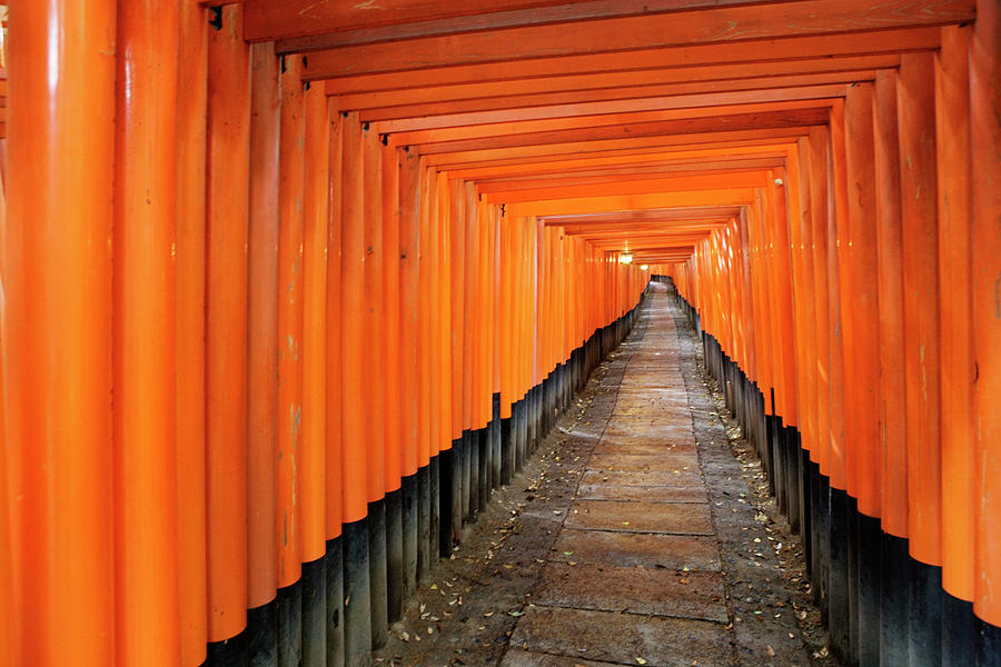 Rows Of Torii Gates At The Fushimi Photograph by Ron Koeberer - Fine ...