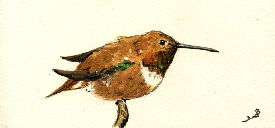 Hummingbird Painting - Rufous hummingbird #1 by Juan  Bosco