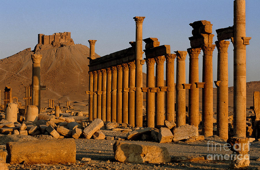 Ruins At Palmyra, Syria #1 Photograph by Adam Sylvester