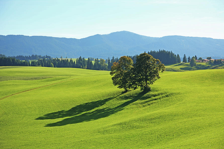Rural Landscape, Bavaria, Germany #1 Photograph by Hiroshi Higuchi