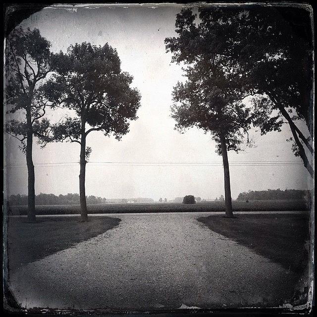 Hipstamatic Photograph - Rural Poetry #1 by Natasha Marco