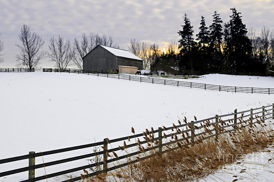 Winter Photograph - Rural winter landscape 1 by Elena Elisseeva