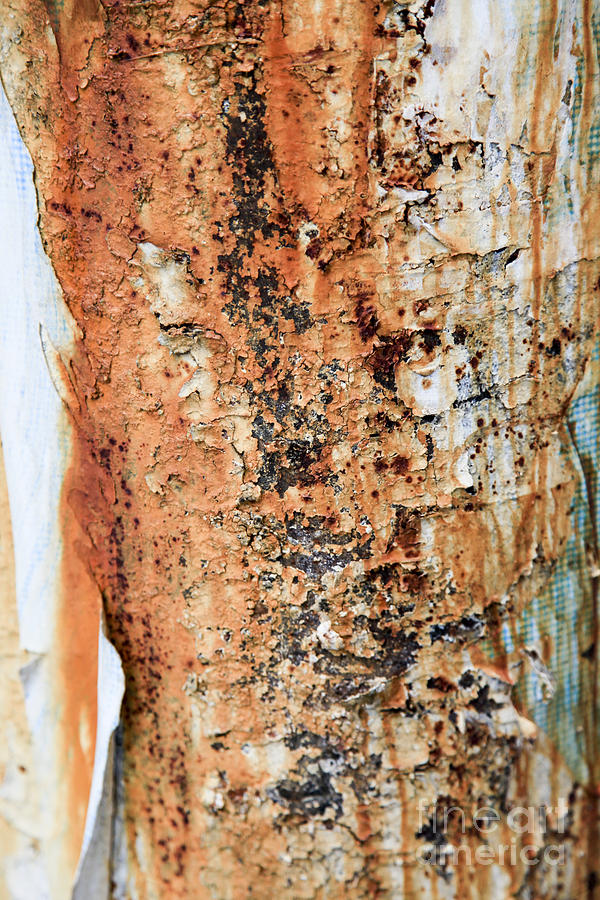 Abstract Photograph - Rust closeup  #1 by Vladi Alon