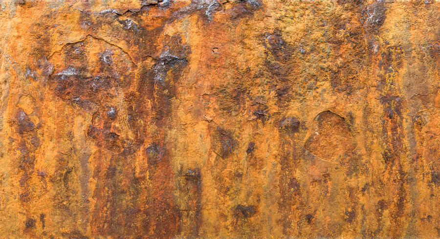 Rust #1 Photograph by Phillip Hayson