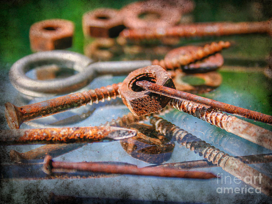 Tool Photograph - Rusted bolts by Patricia Hofmeester