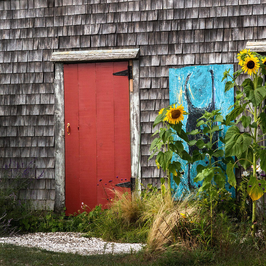 Rustic Cape Cod Photograph by Bill Wakeley